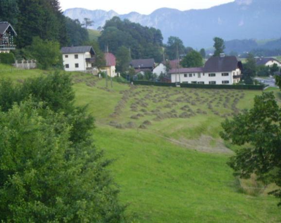 첼 암 모오스 Bauernhof Kasleitner 빌라 외부 사진